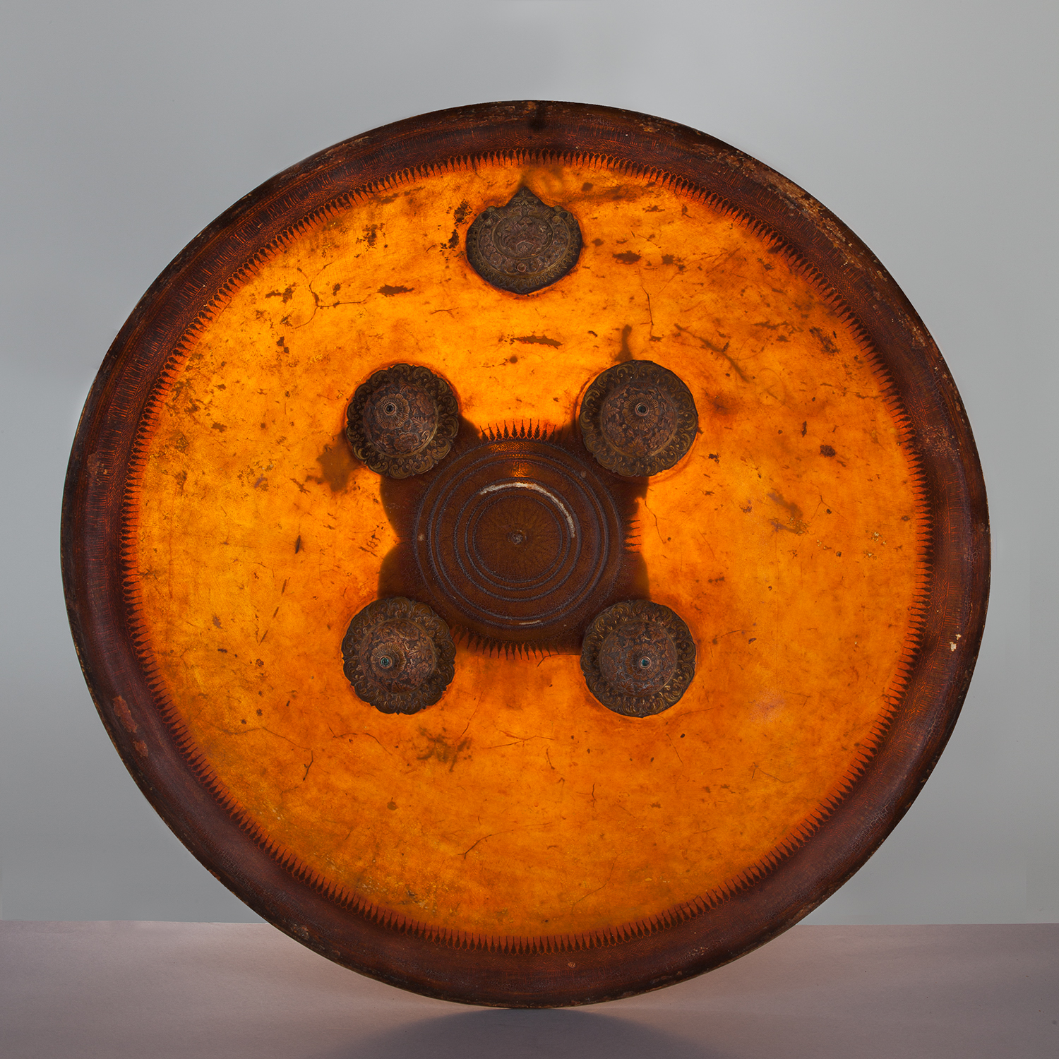 Indian Hide Shield