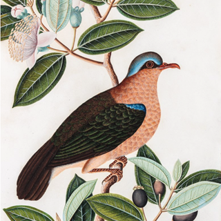 Paintings & Drawings